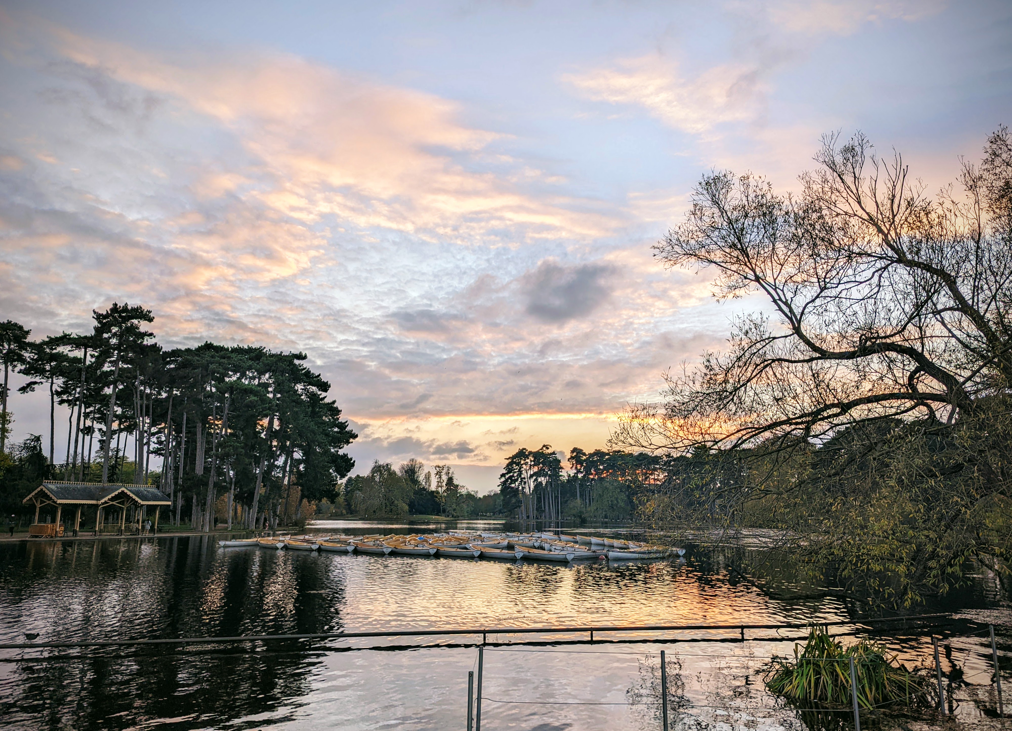 Bois de Boulogne lake