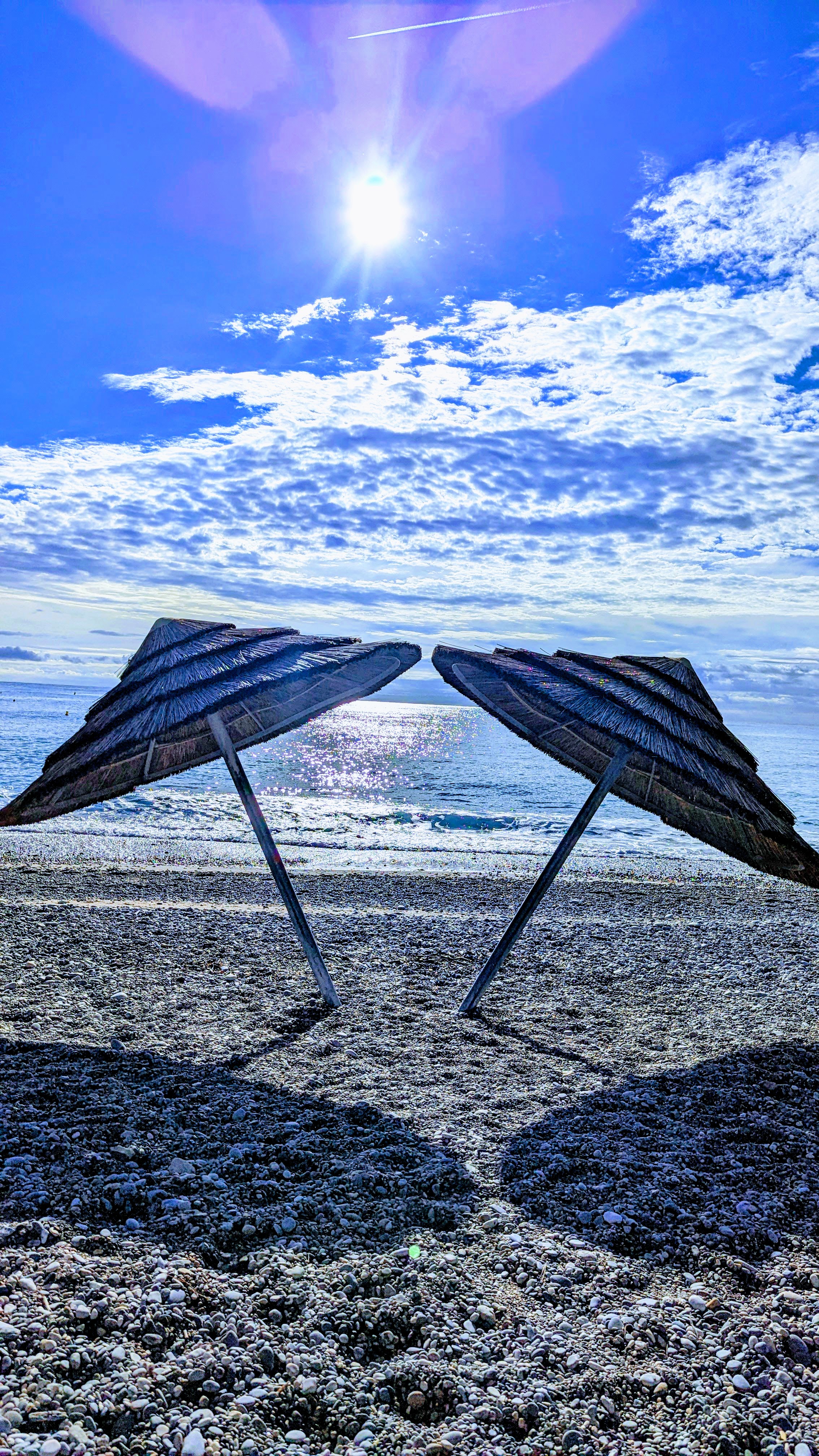 natural umbrella by the beach of cagnes sur mer