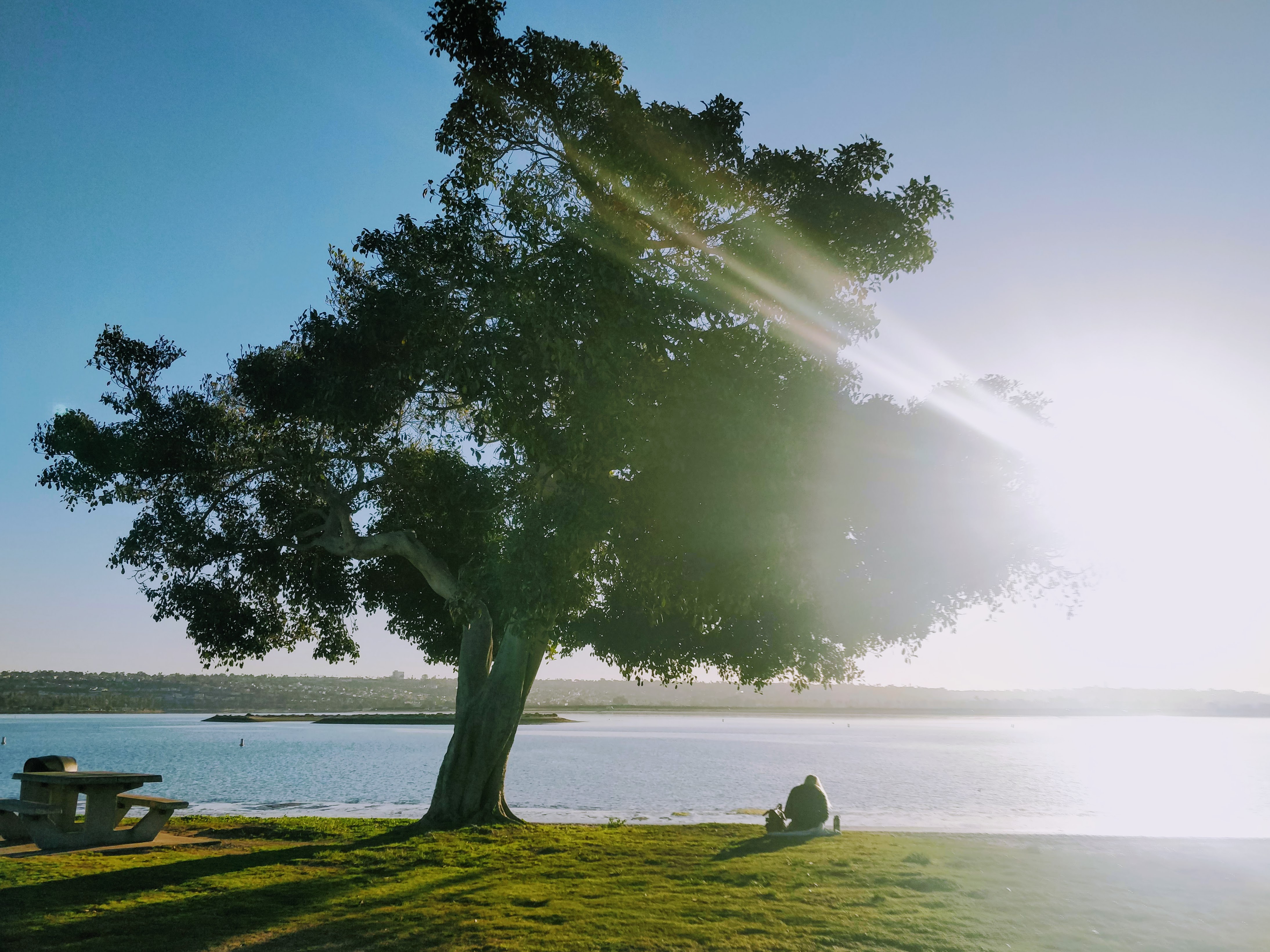Reading time in mission bay