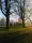 Hyde park morning horse training