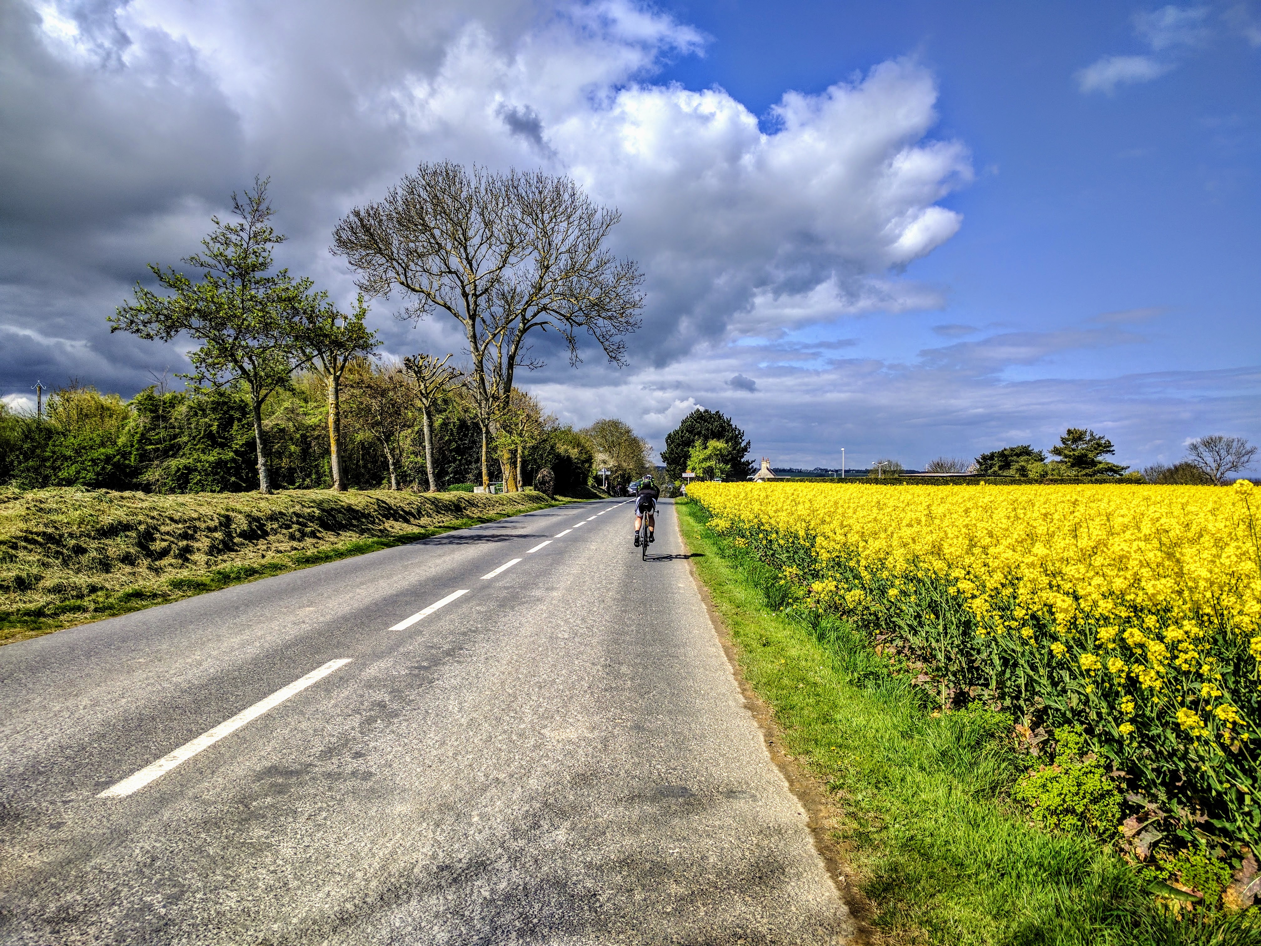 Normandy road shades