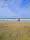 Running on the beach