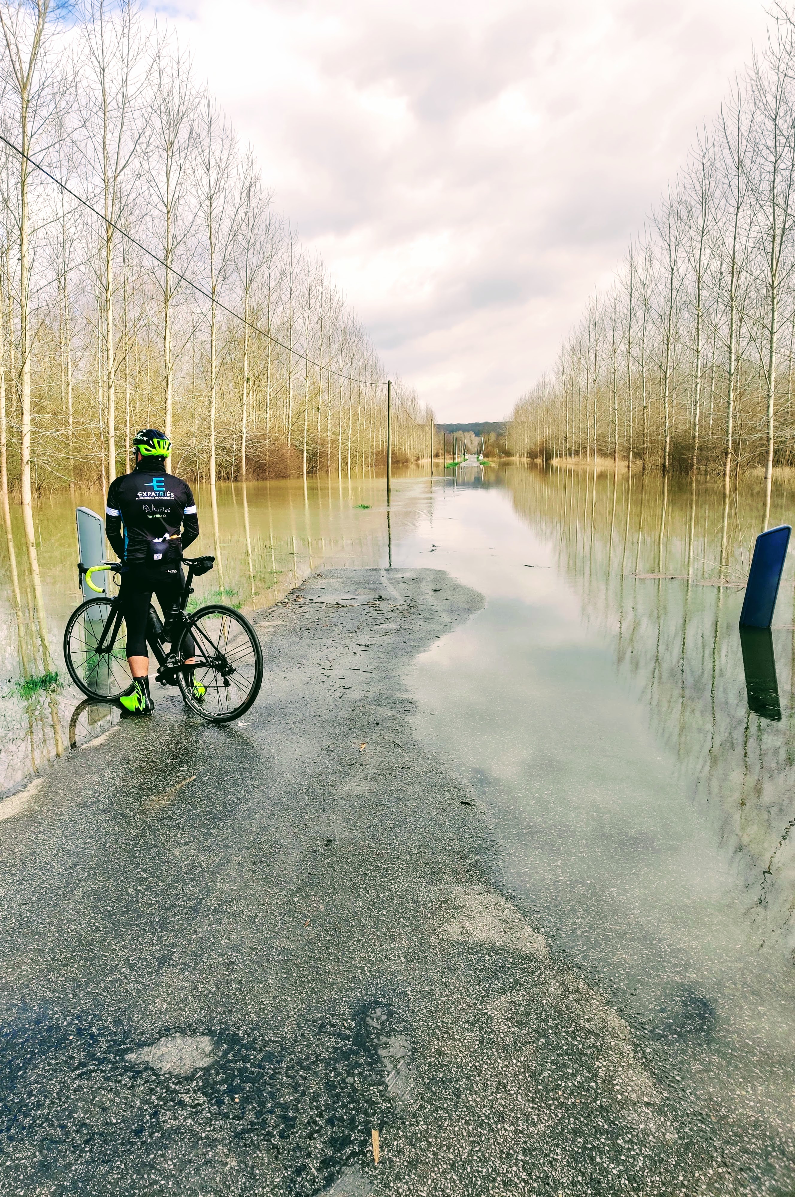 Should I go or should I stay